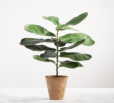 Faux Potted Fiddle Leaf Houseplant - Image 0