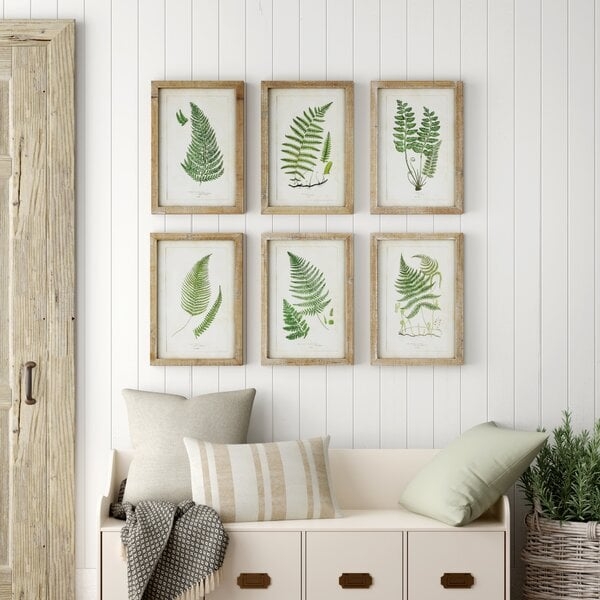 Fern Fronds - 6 Piece Picture Frame Print Set on Wood - Image 0