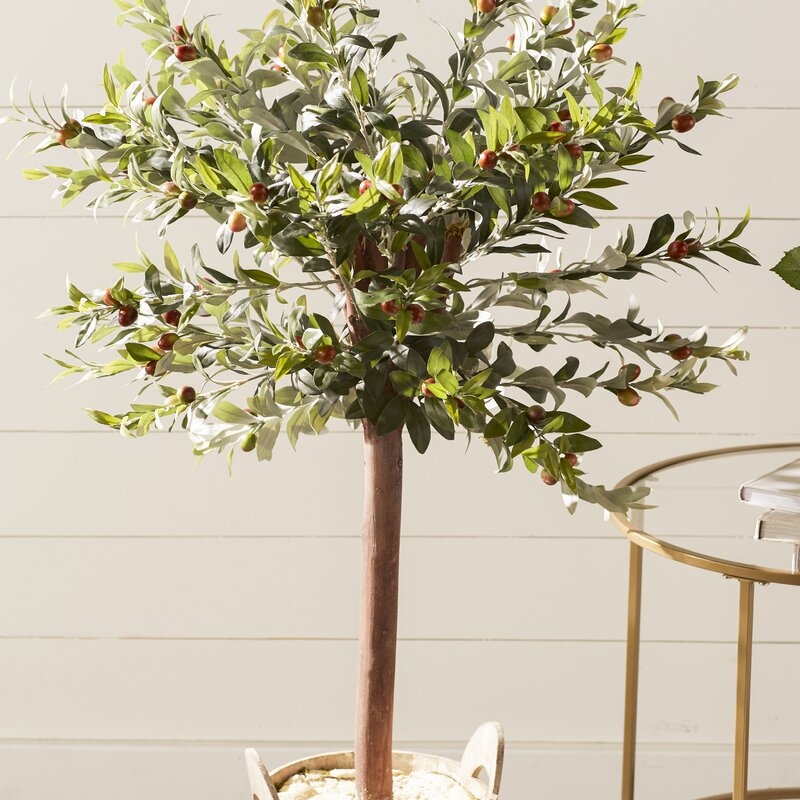 Olive Tree in Planter - Image 1