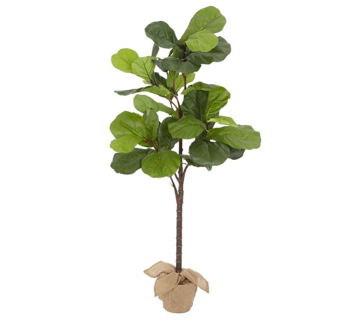 Faux Potted Fiddle Leaf Fig Tree, Medium - 5.4ft - Image 0