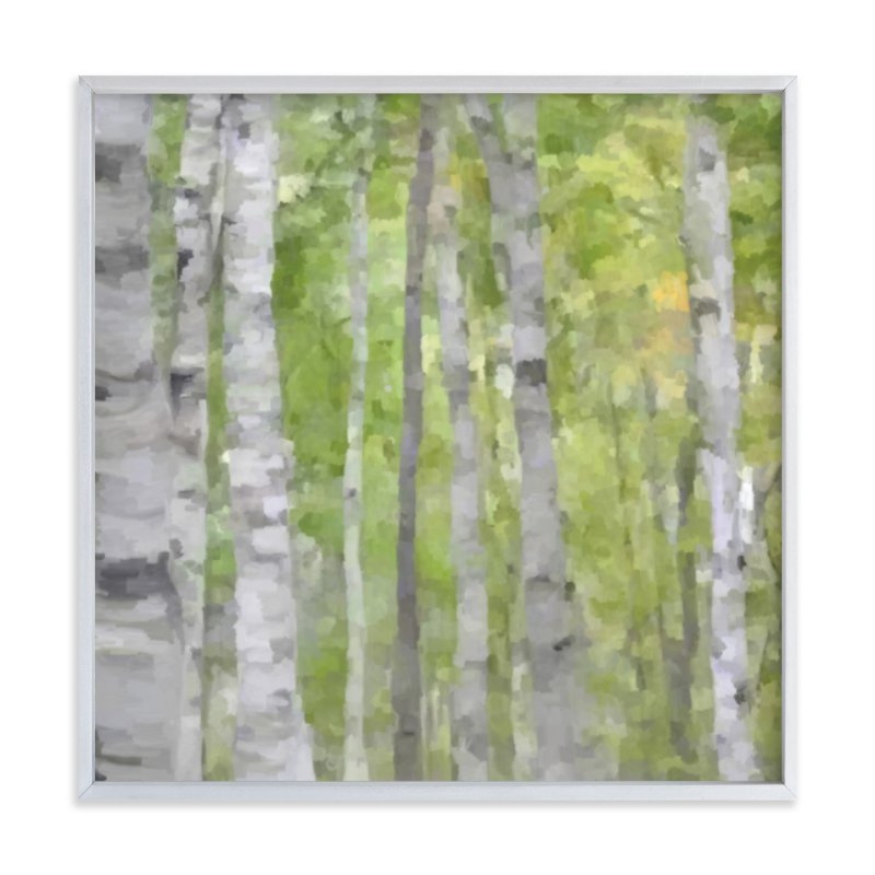 Summer Birches  - 24" x 24" - Brushed Silver Frame - Image 0