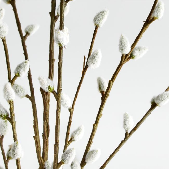 Pussy Willow Spray - Image 0