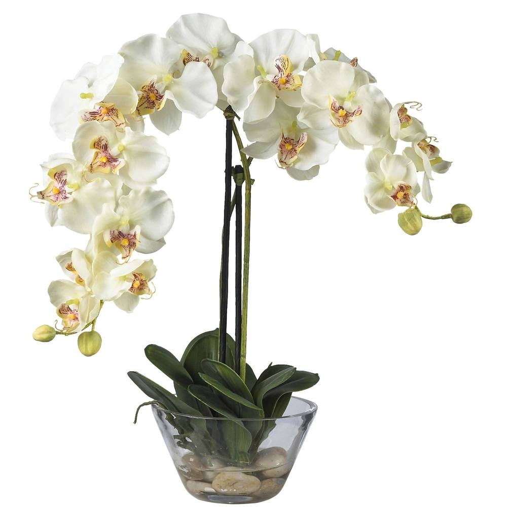 Phalaenopsis w/Glass Vase Silk Flower Arrangement - Image 0