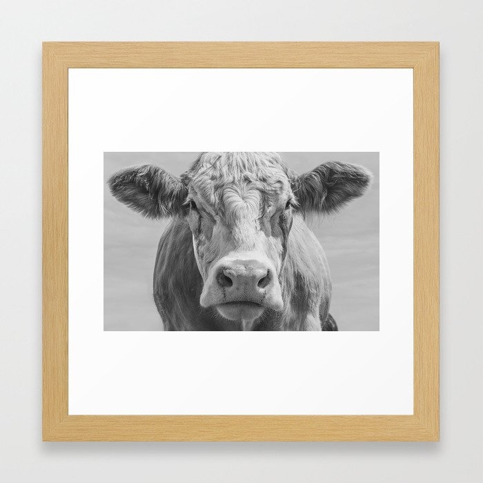 Animal Photography | Highland Cow Portrait Black and White | Farm Animals Framed Art Print - Image 0