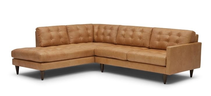 Eliot Leather Sectional with Bumper (2 piece) Left Orientation - Image 0