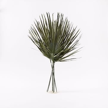 Dried Palm Leaf, Green - Image 1