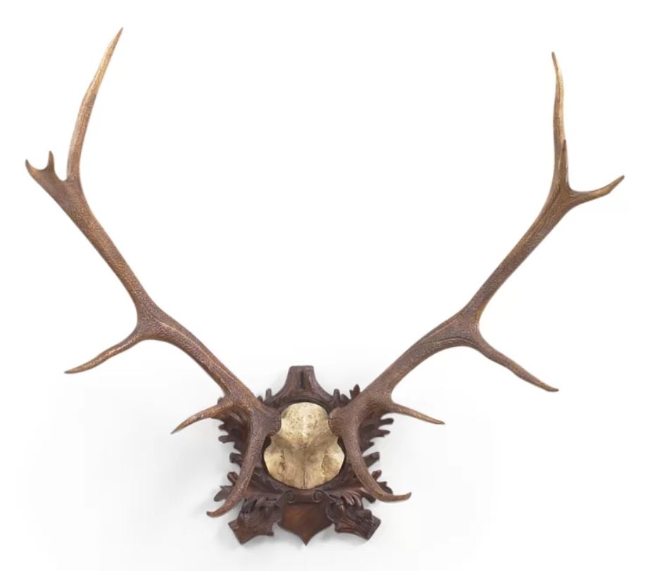 Large Deer Antlers Wall Décor - Image 0