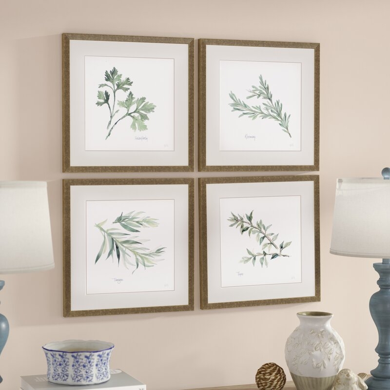 Herbs Framed On Paper 4 Pieces by Paschke Graphic Art - Image 1
