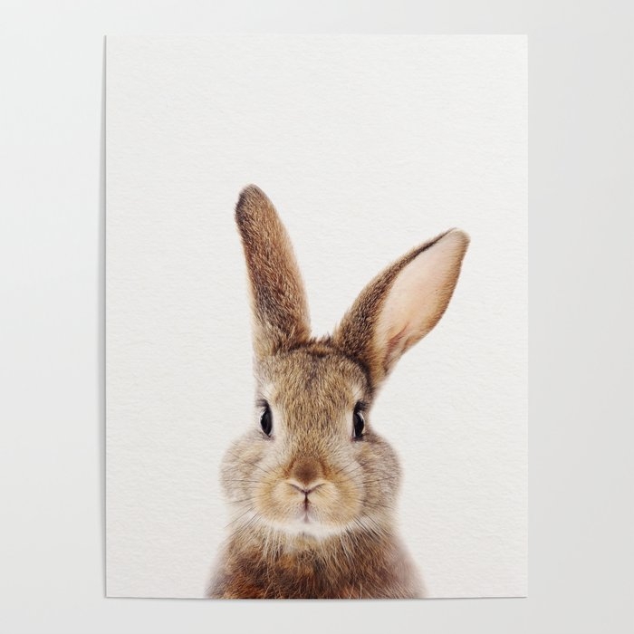 Baby Rabbit, Baby Animals Art Print By Synplus Poster - Image 0