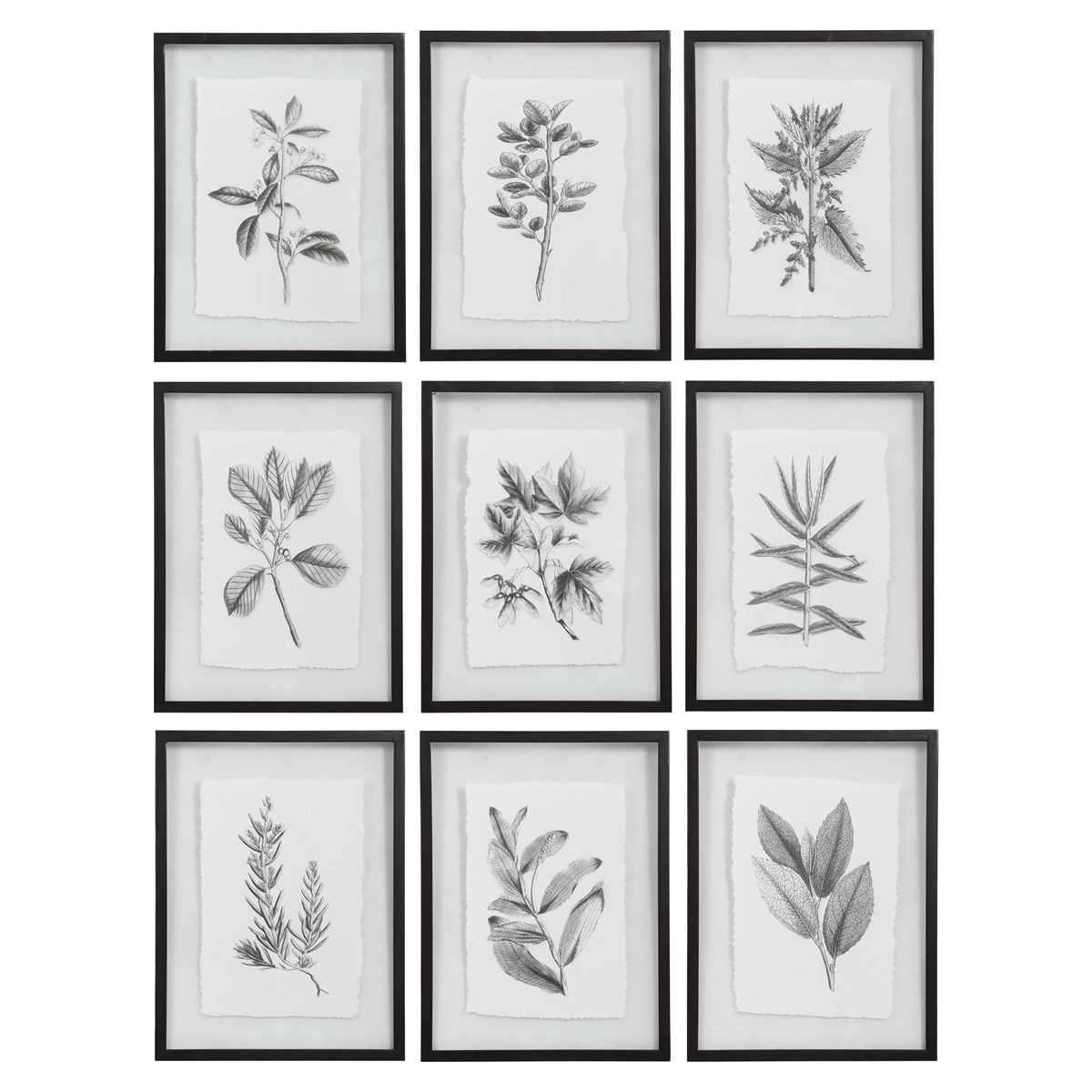 Farmhouse Florals Framed Prints, Set of 9 - Image 0