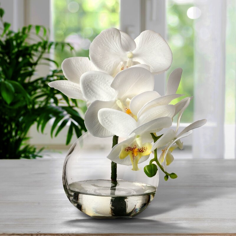 Phaleanopsis Orchids Floral Arrangement in Jar - Image 1