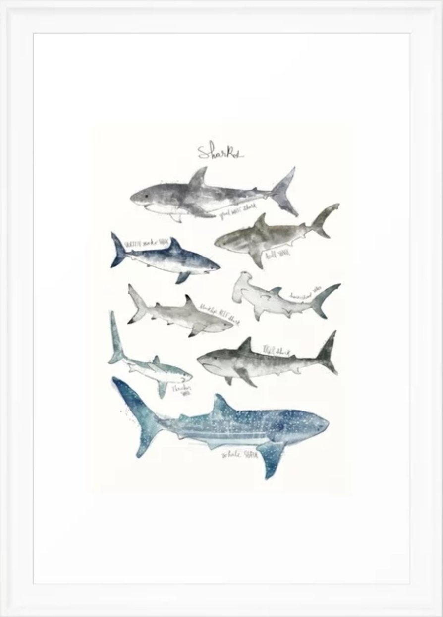 Sharks Framed Art Print - Image 0