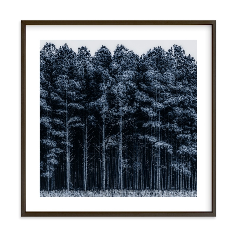 through the trees - FRAME SIZE  24.5" X 24.5" - Cool/Rich Black frame/White Border - Image 0