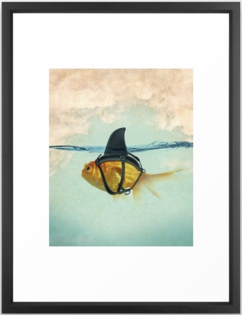 Brilliant DISGUISE - Goldfish with a Shark Fin Framed Art Print - Image 0