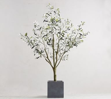 Faux Potted Olive Tree, Large - 71" - Image 6