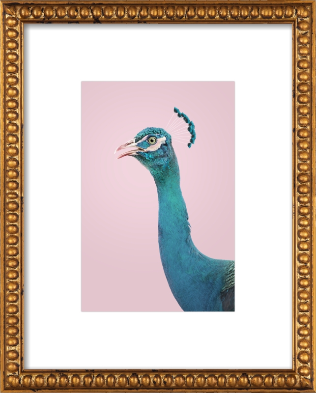 Blue Peacock - 28x40, framed - Image 0