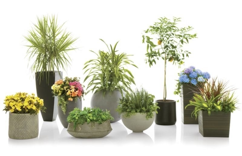 Saabira Charcoal 23.25" Tall Indoor/Outdoor Planter - Image 2
