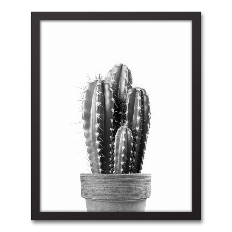 'Black And White Vintage Cactus' Framed Photograph On Canvas - Image 0
