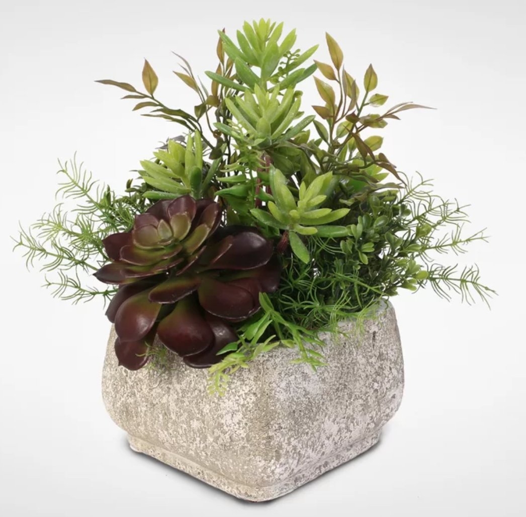 Artificial Desktop Succulent Arrangement Plant in a Pot - Image 0