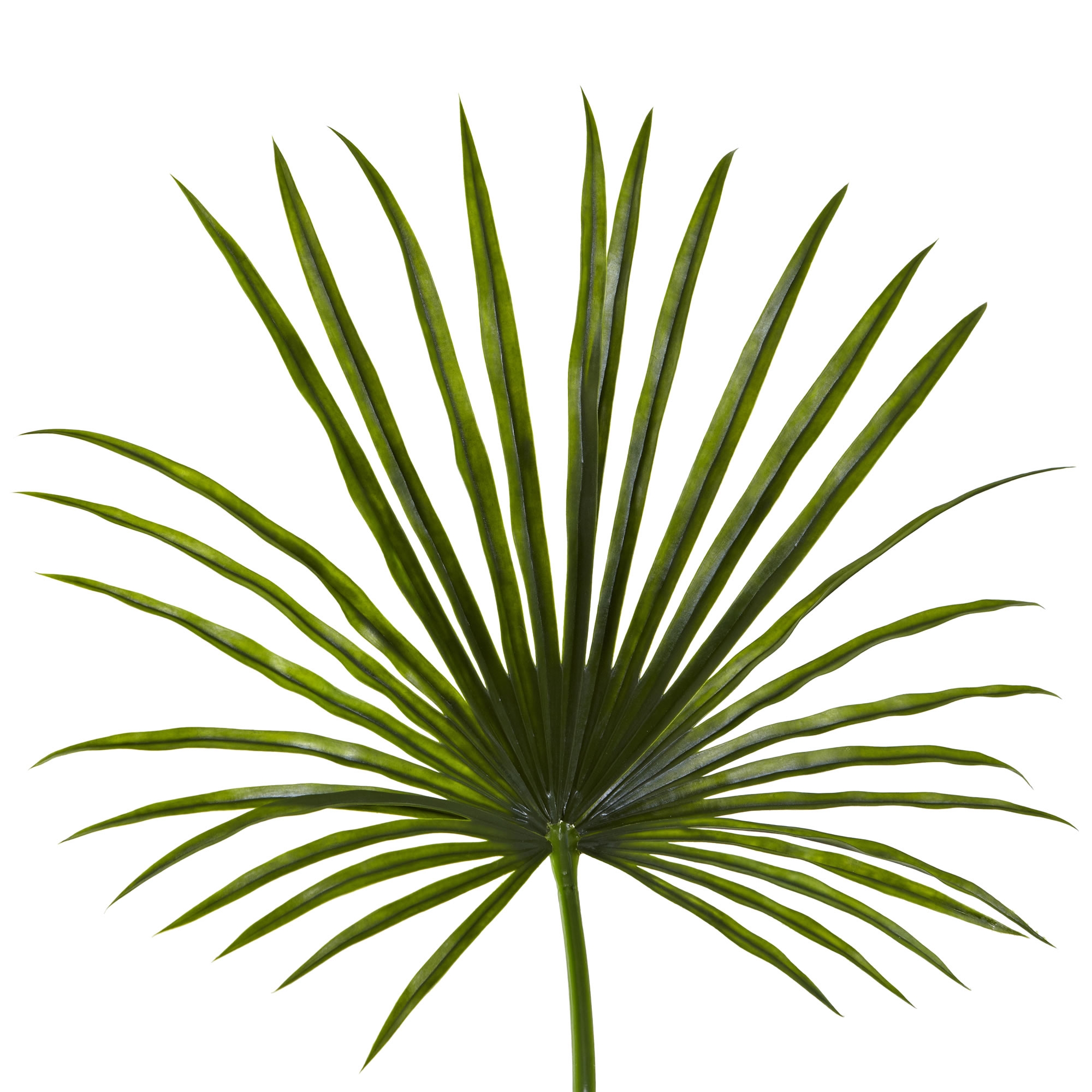 Faux Fan Palm Leaf, Set of 2 - Image 1