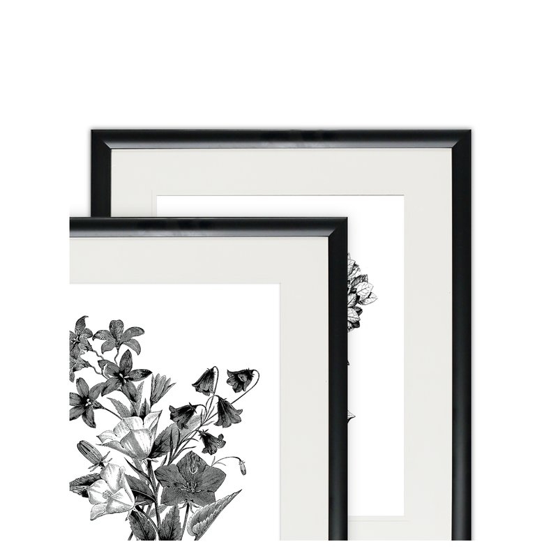 'Botanical Black and White' 2 Piece Framed Acrylic Painting Print Set - Image 3