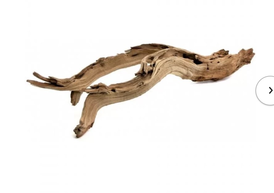 Decorative Natural California Driftwood Branch - Image 0