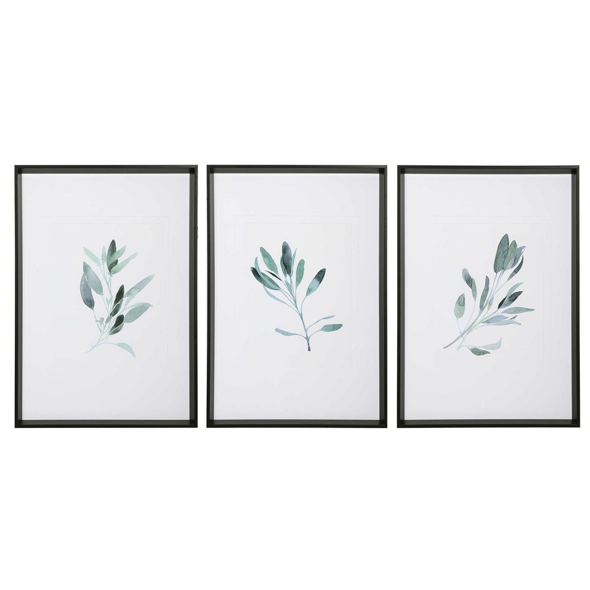 Framed Sage Prints, Set of 3 - Image 0