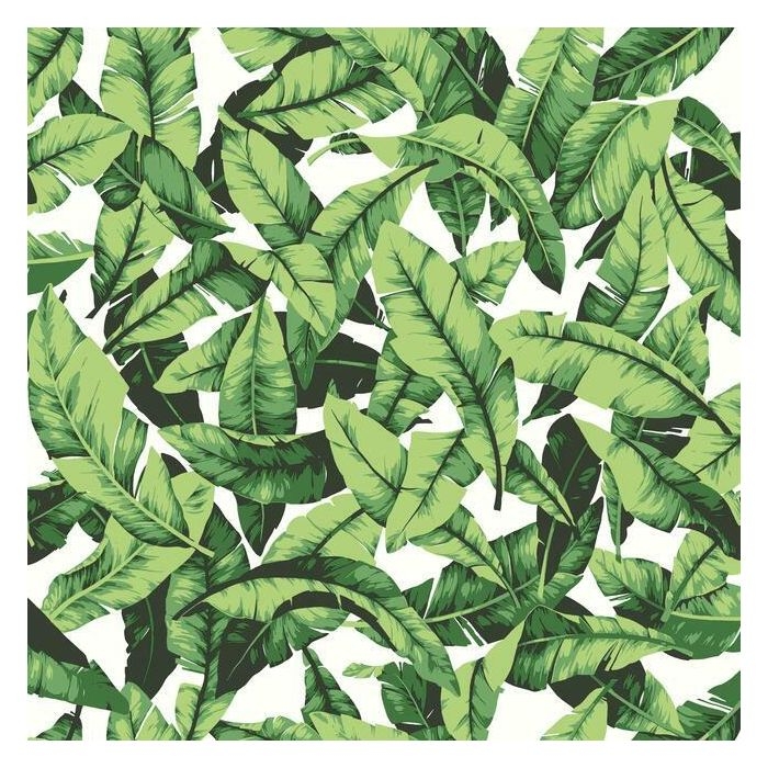 Palm Leaf Peel and Stick Wallpaper - SAMPLE - Image 0