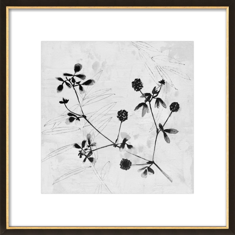 Field Flower // 16" x 16" // Black with Gold Wood Frame // With Matte - Image 0
