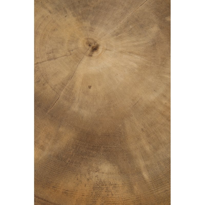 Stilwell Solid Wood Tree Stump End Table - Image 2