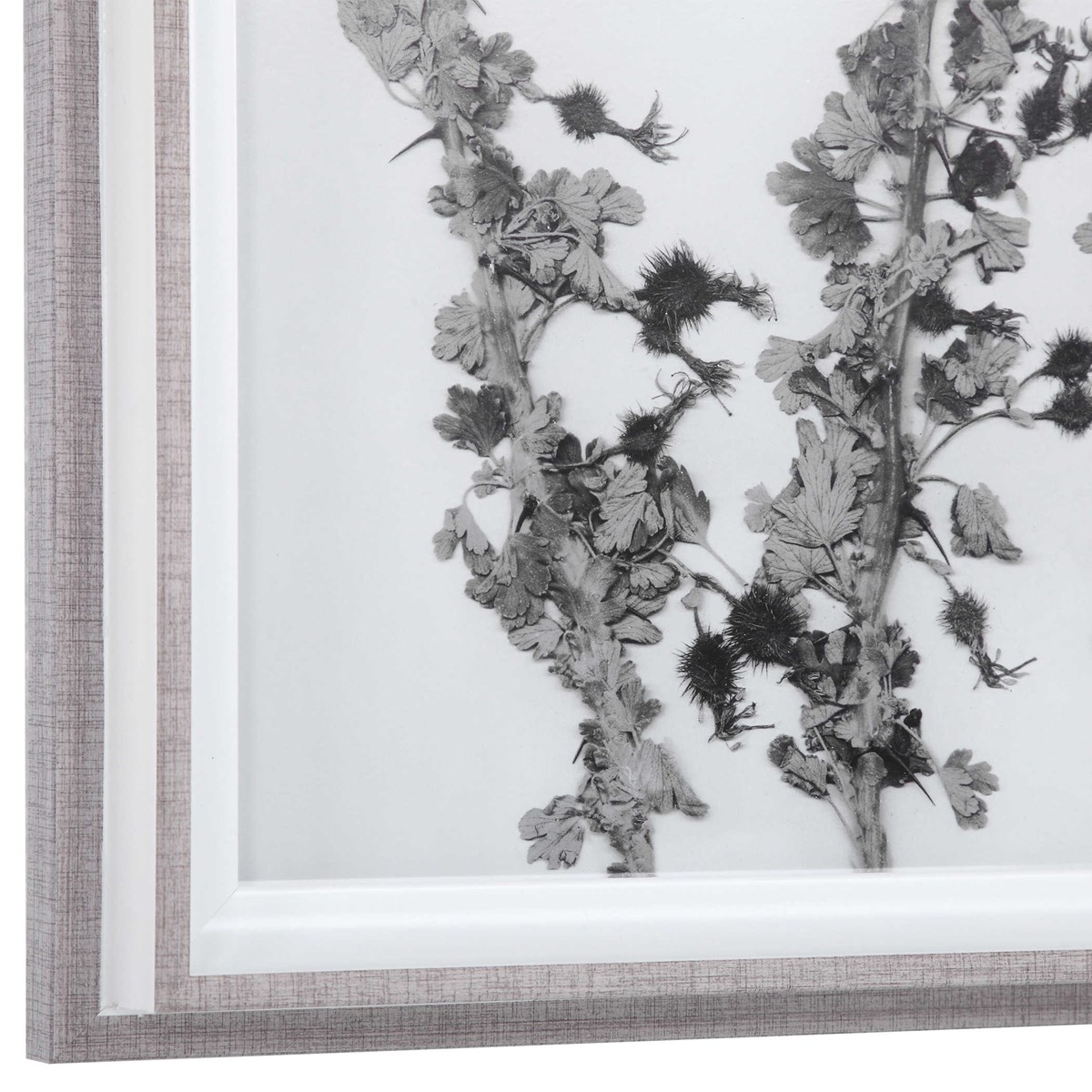 Contemporary Botanicals Framed Prints, Set of 12 - Image 1