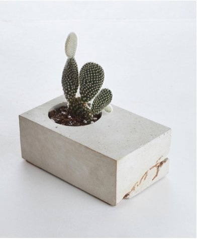 VALE CONCRETE BLOCK PLANTER WITH CACTUS, GRAY AND GOLD - Image 0
