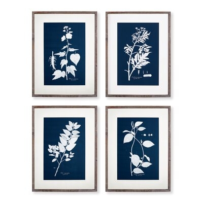 'Cyano Botanical Leaf Study' - 4 Piece Picture Frame Print Set on Paper - Image 0