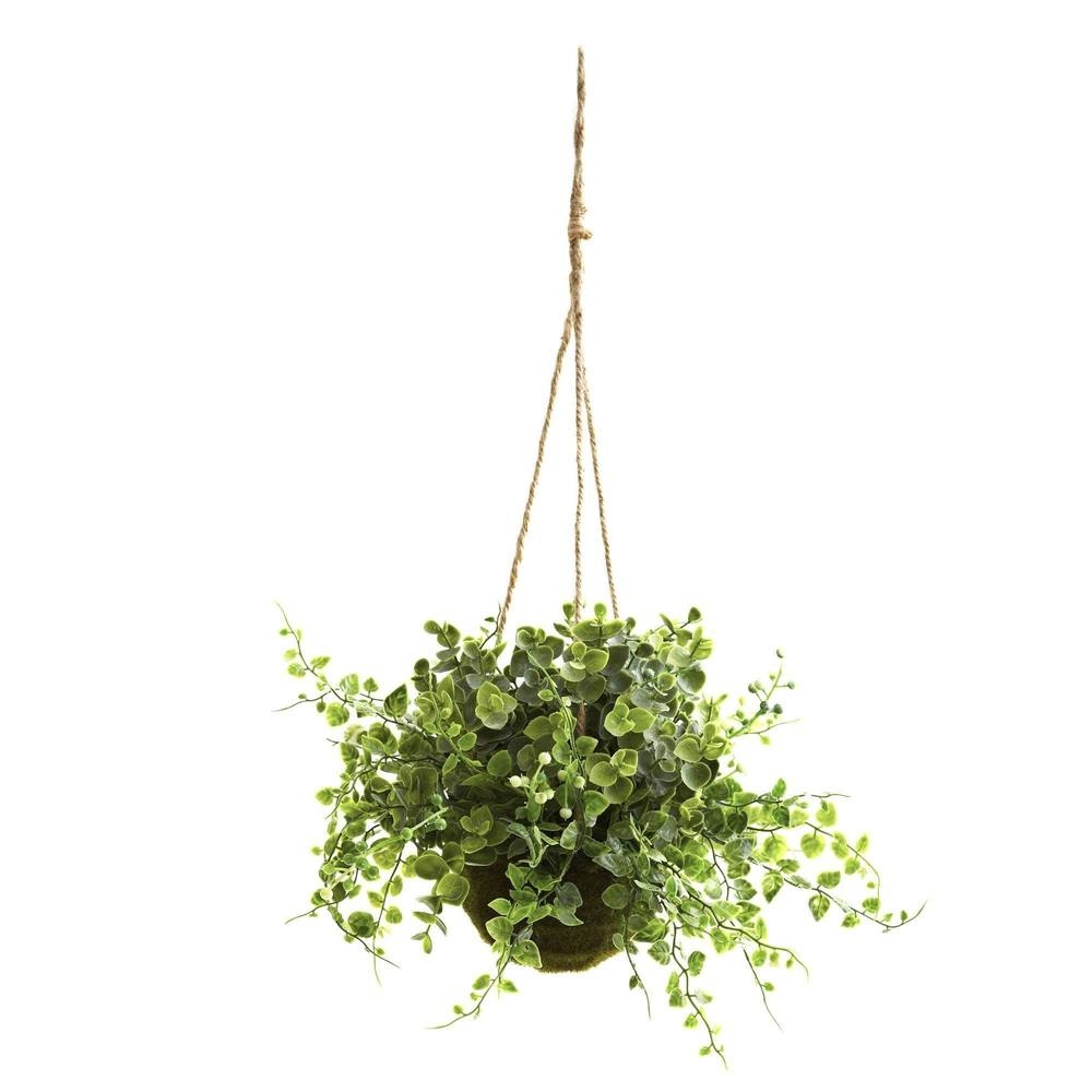 Eucalyptus, Maiden Hair & Berry Hanging Basket (Set of 3) - Image 1