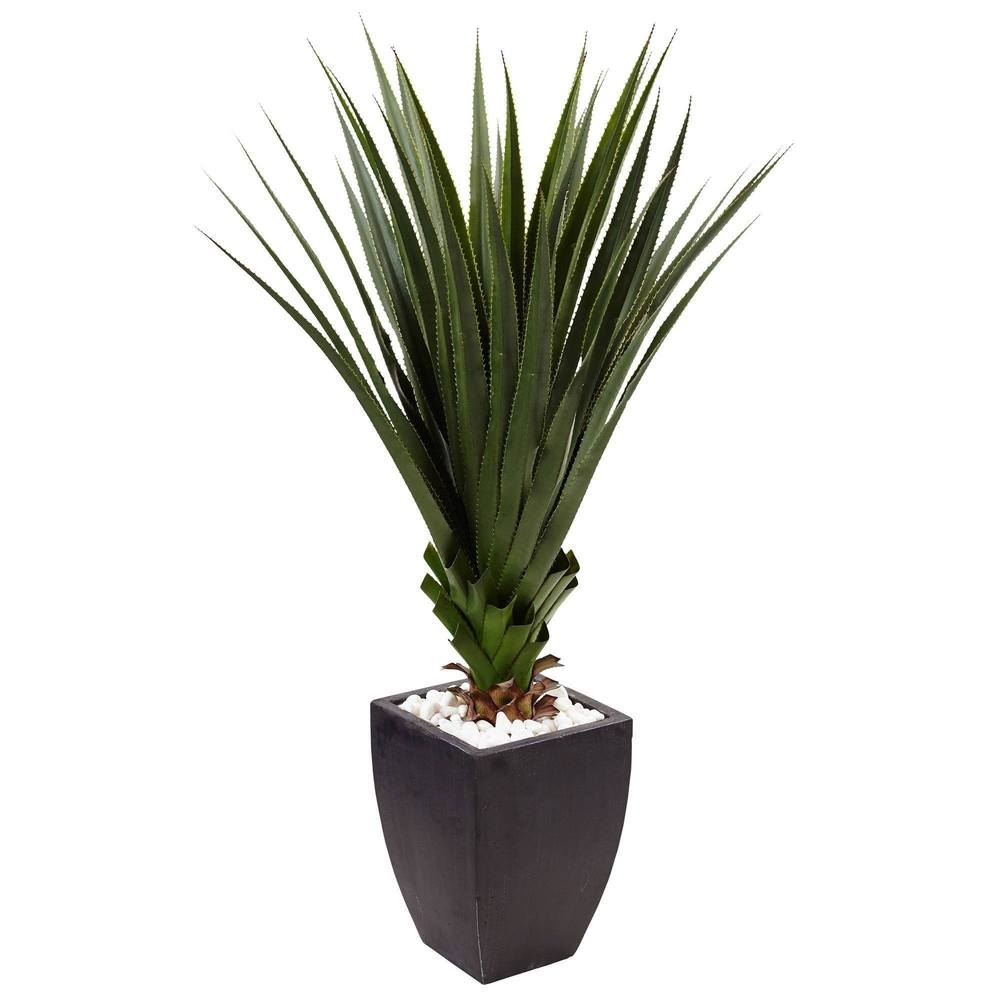 4.5’ Spiked Agave in Black Planter (Indoor/Outdoor) - Image 0