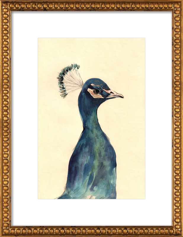 Peacock - 14x20, framed - Image 0