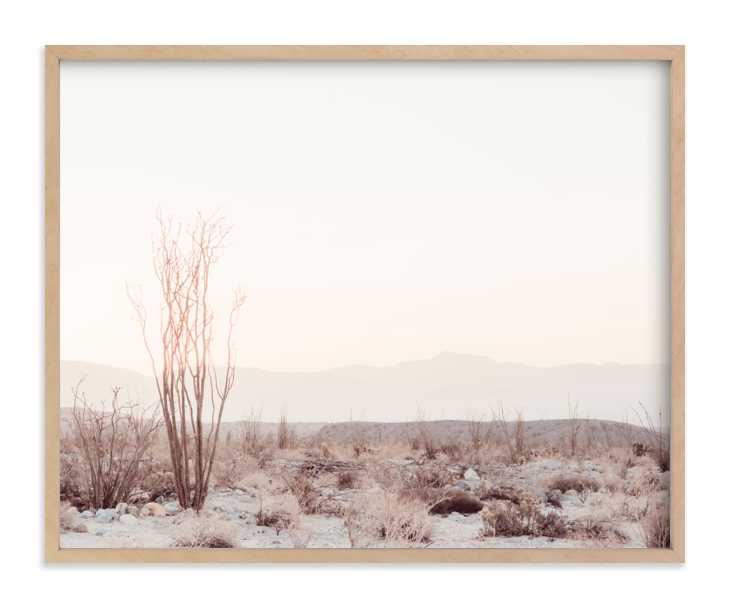 Ocotillo II Art Print - Image 0