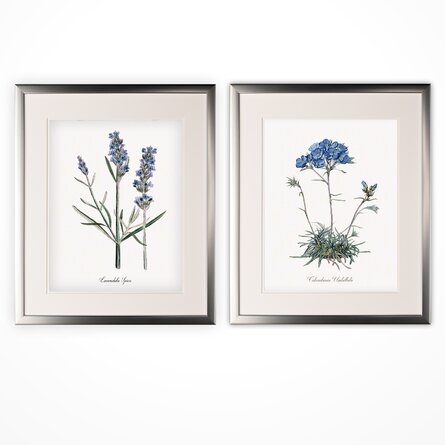 'Lavender' 2 Piece Framed Graphic Art Print Set - Image 1