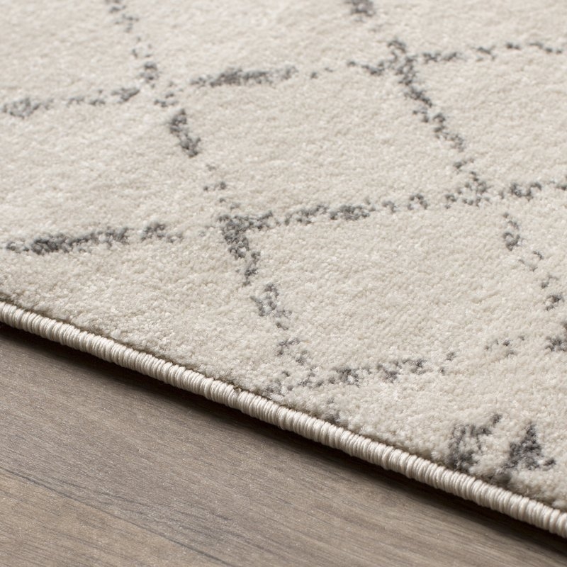 Clair Ivory Area Rug - Image 3