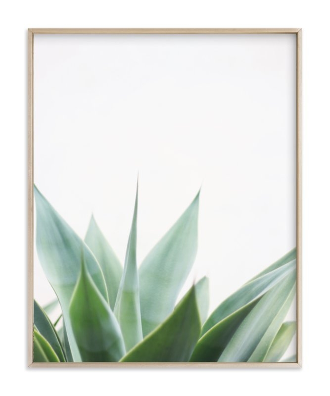 balboa park w/ metal frame, with a matte brass finish - Image 0