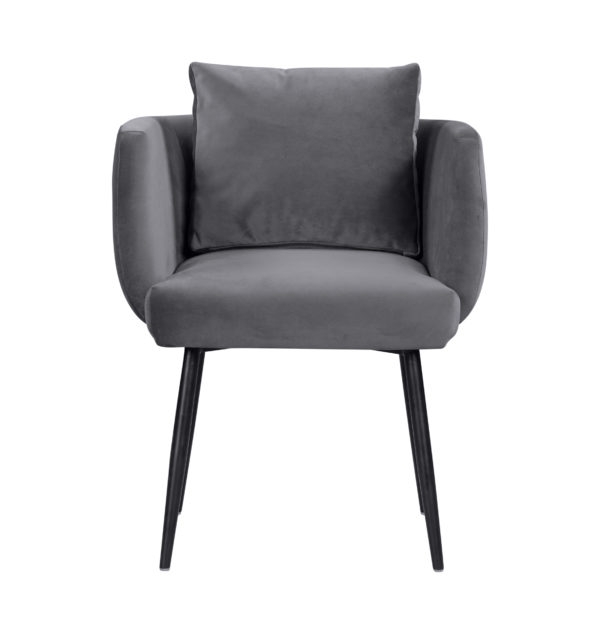 Alicia Morgan Velvet Chair - Image 0