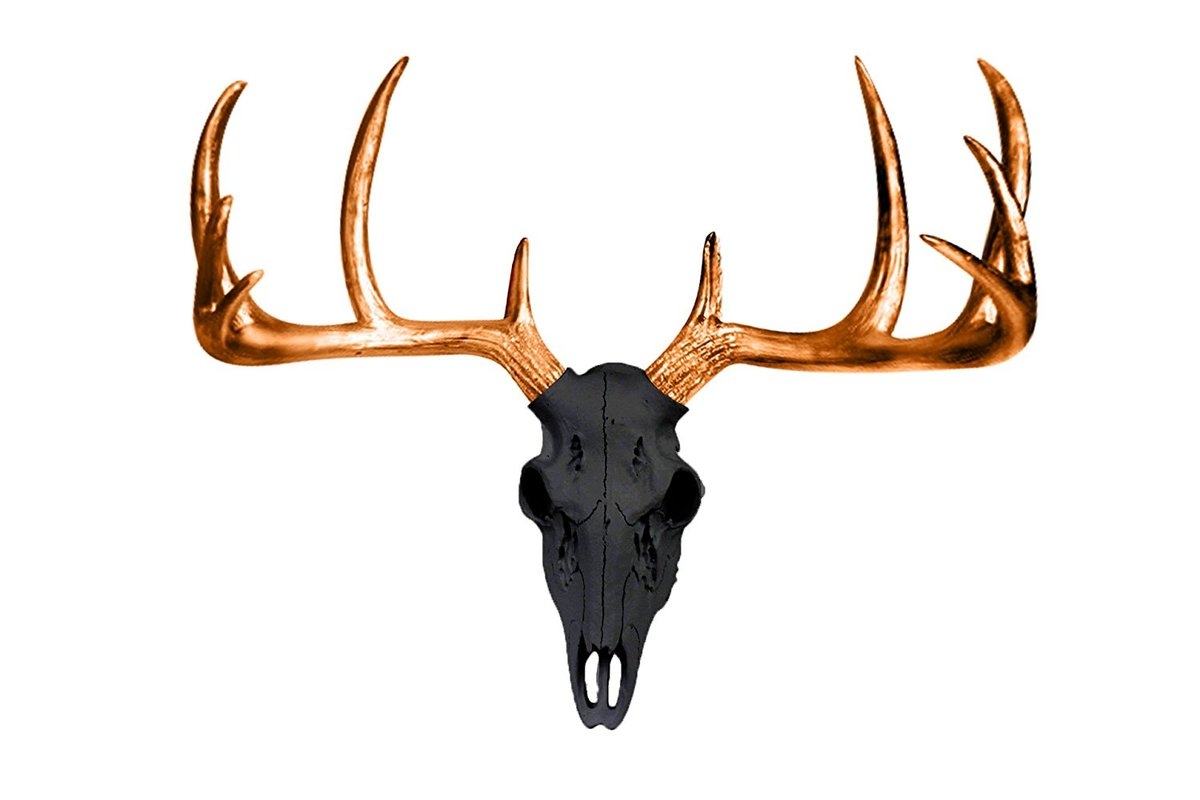 Mini Deer Head Skull Wall Décor - Image 0