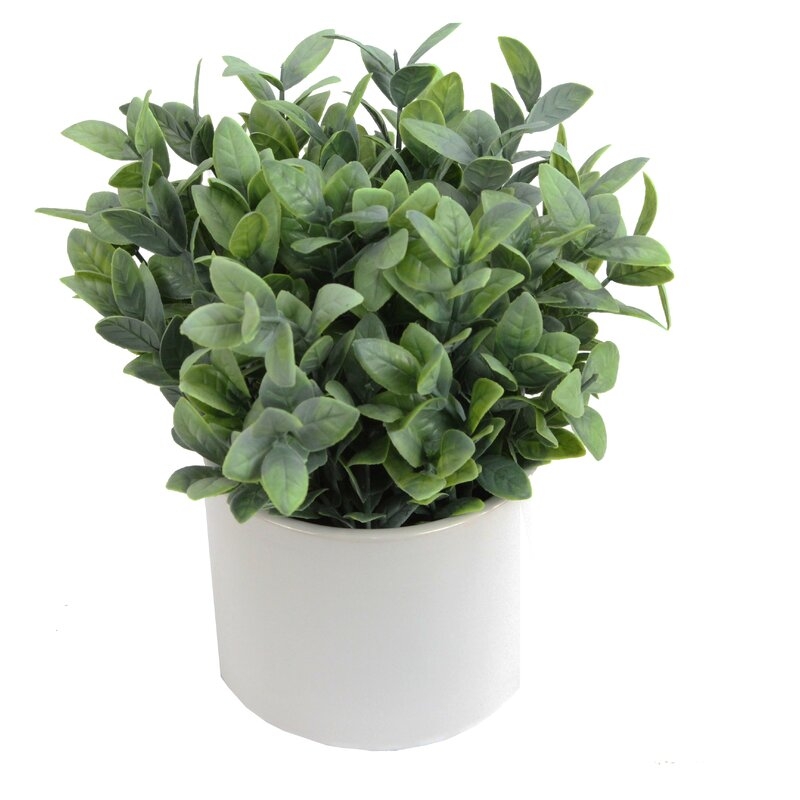 Artificial Frosted Ruscus Floral Arrangements and Centerpieces in Pot - Image 0