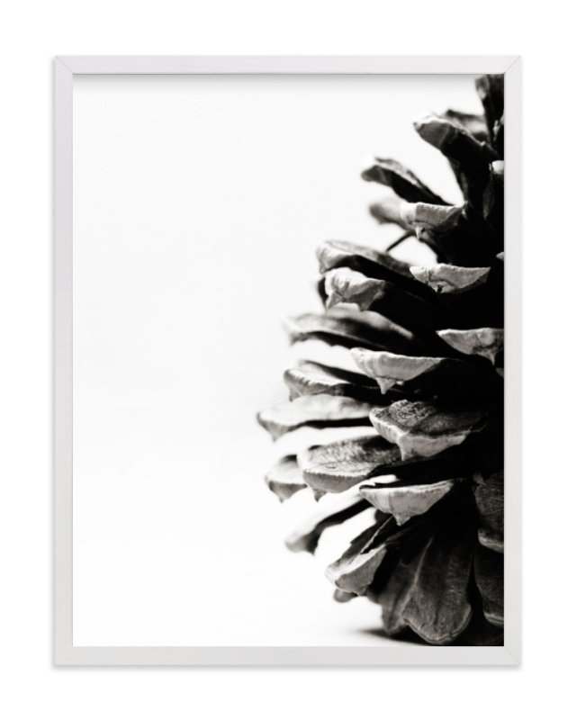 pine cone - Image 0