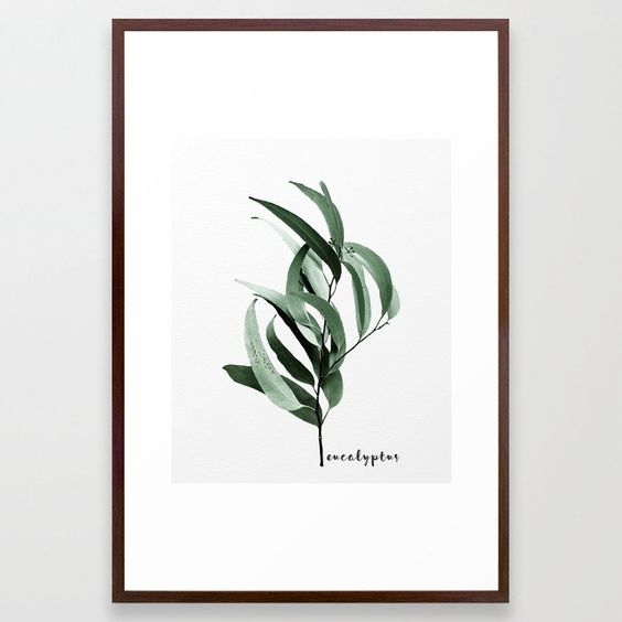 Eucalyptus - Australian gum tree Framed Art Print 26 x 38" - Image 0