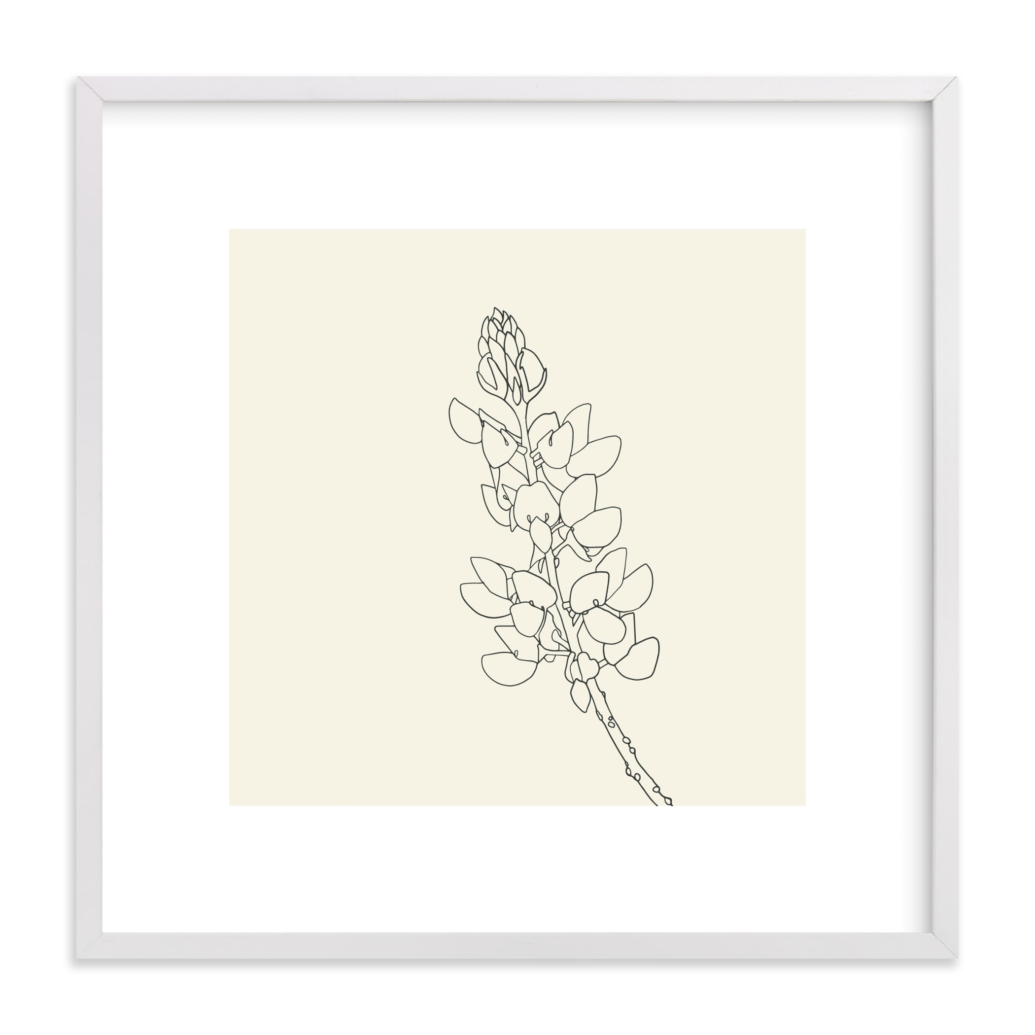 Lupine  / White Wood Frame / 17.3" - Image 0