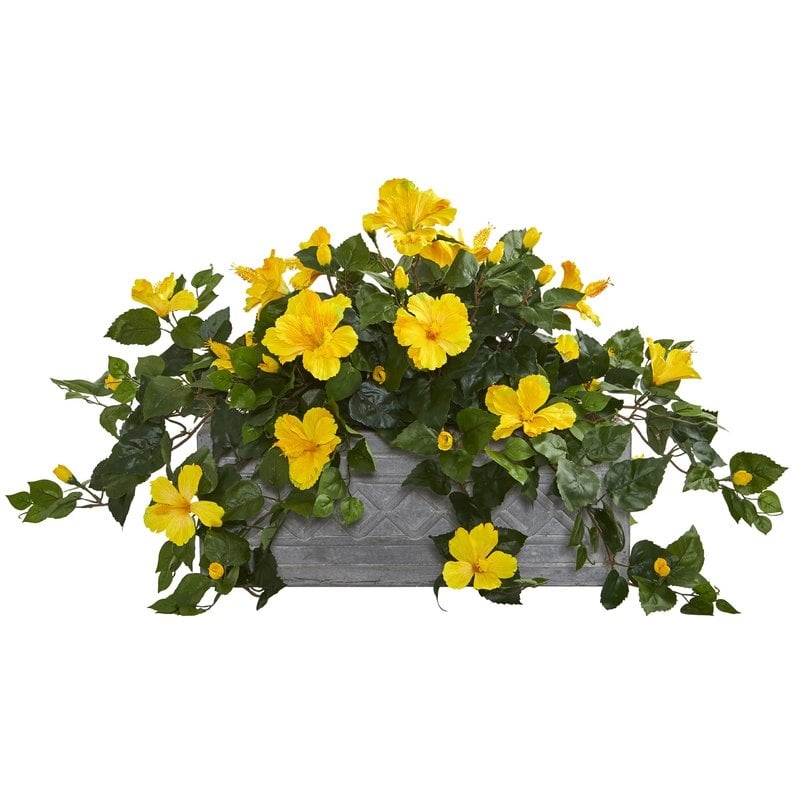 Hibiscus Floral Arrangement in Planter - Image 0