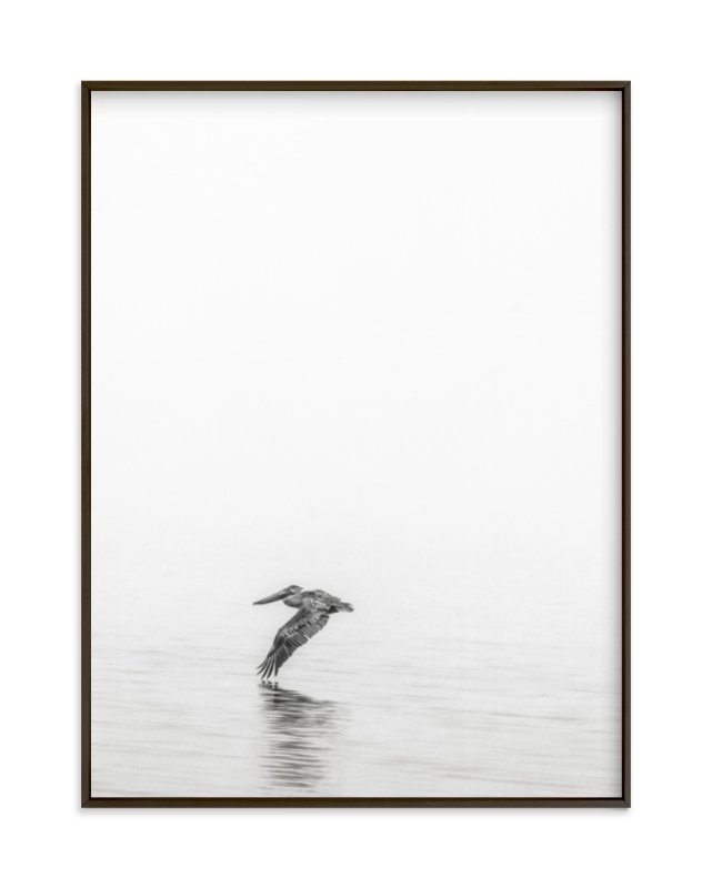 pelican on lake - Image 0