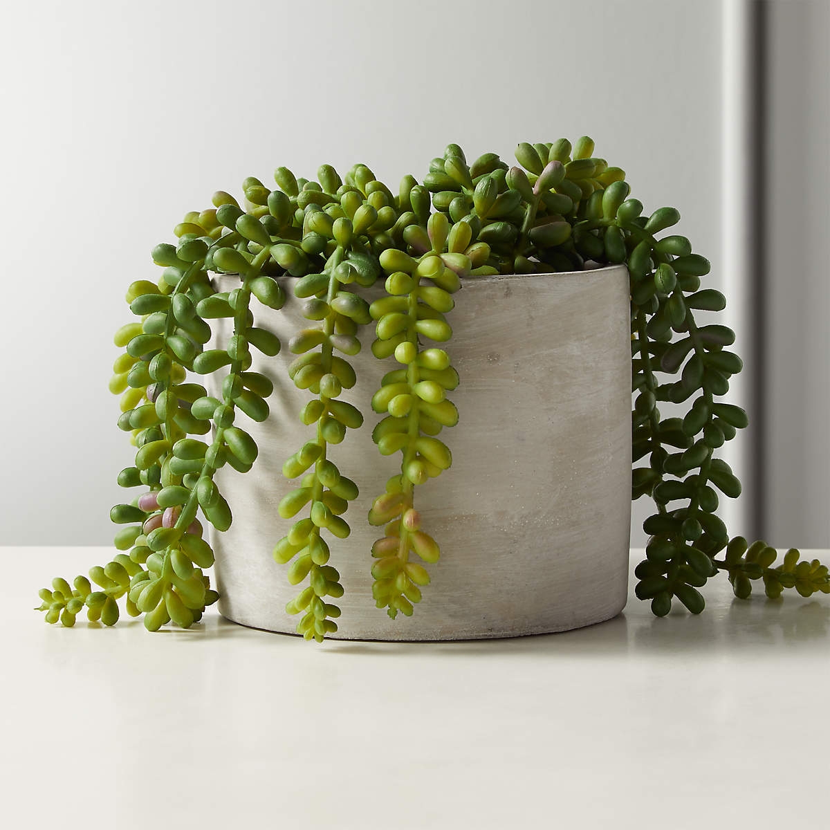 Faux Potted Burro's Tail - Image 1