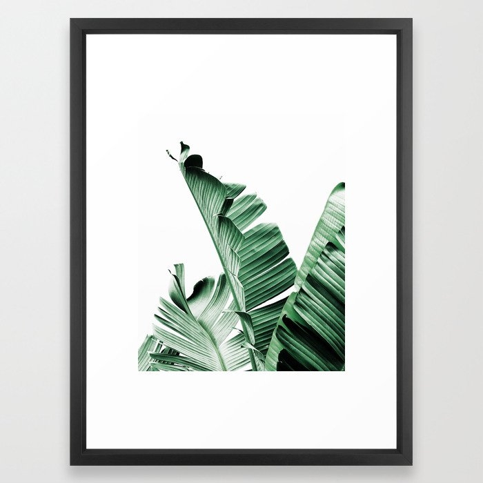 Banana leaf, Plant, Green, Minimal, Trendy decor, Interior, Wall art, Photo Art Print Framed Art Print - Image 0